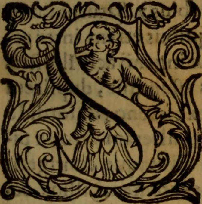 An illustration from De medica historia mirabili libri sex, 1597, leaf 22