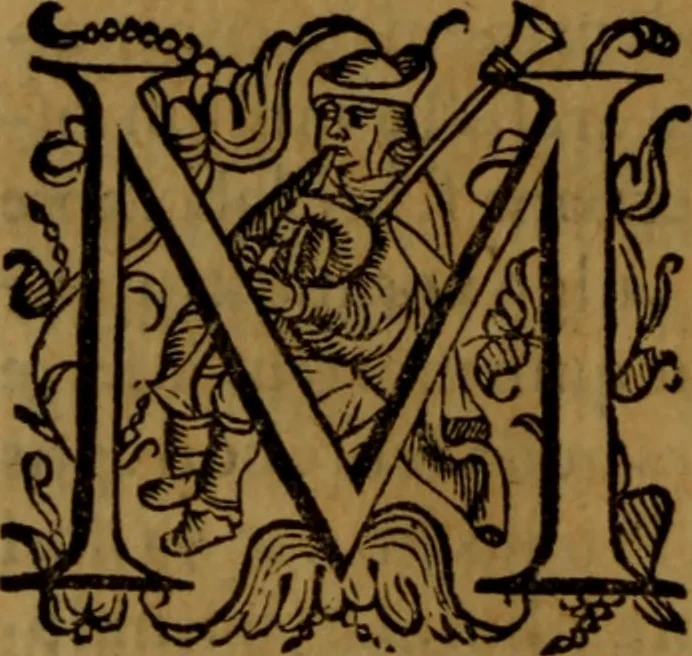 An illustration from De medica historia mirabili libri sex, 1597, leaf 233