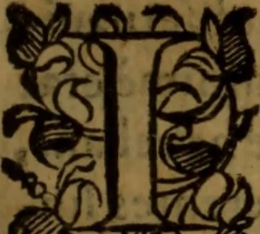 An illustration from De medica historia mirabili libri sex, 1597, leaf 238