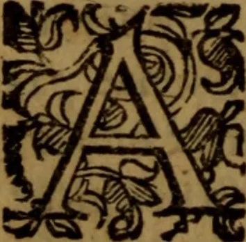 An illustration from De medica historia mirabili libri sex, 1597, leaf 247