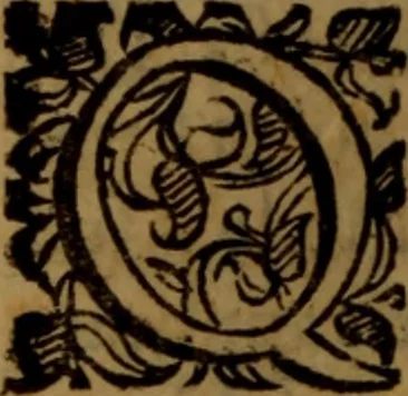 An illustration from De medica historia mirabili libri sex, 1597, leaf 249