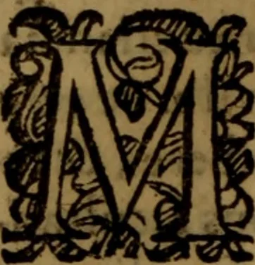 An illustration from De medica historia mirabili libri sex, 1597, leaf 255