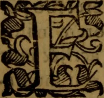 An illustration from De medica historia mirabili libri sex, 1597, leaf 259