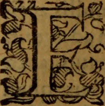 An illustration from De medica historia mirabili libri sex, 1597, leaf 279