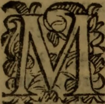 An illustration from De medica historia mirabili libri sex, 1597, leaf 294
