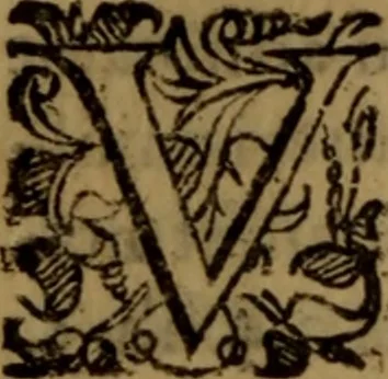 An illustration from De medica historia mirabili libri sex, 1597, leaf 299