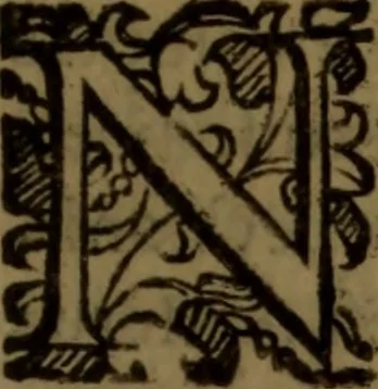 An illustration from De medica historia mirabili libri sex, 1597, leaf 304