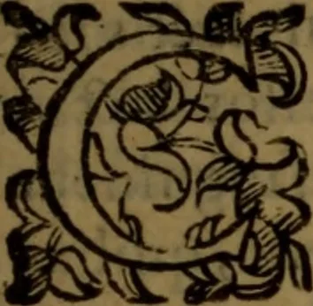 An illustration from De medica historia mirabili libri sex, 1597, leaf 316