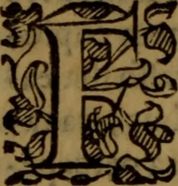 An illustration from De medica historia mirabili libri sex, 1597, leaf 321