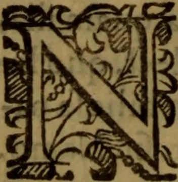 An illustration from De medica historia mirabili libri sex, 1597, leaf 323