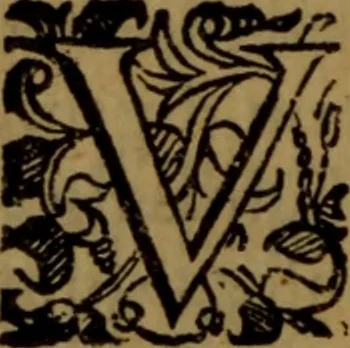 An illustration from De medica historia mirabili libri sex, 1597, leaf 341