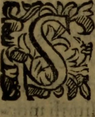 An illustration from De medica historia mirabili libri sex, 1597, leaf 378