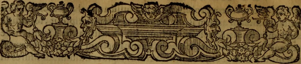 An illustration from De medica historia mirabili libri sex, 1597, leaf 399