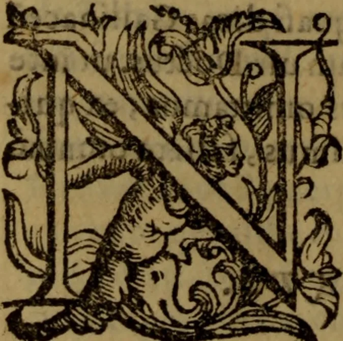 An illustration from De medica historia mirabili libri sex, 1597, leaf 399