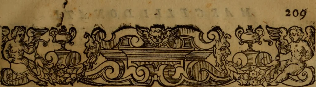 An illustration from De medica historia mirabili libri sex, 1597, leaf 438