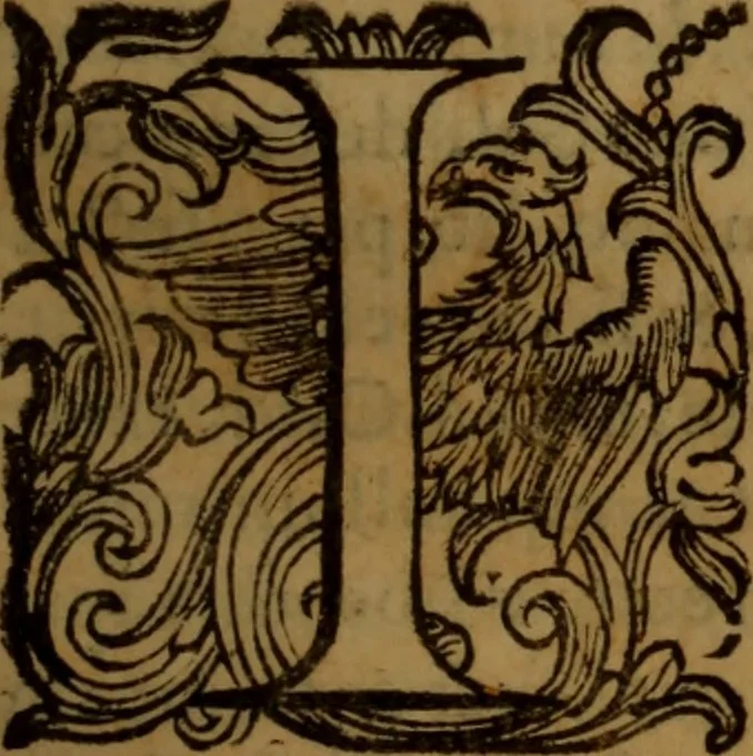 An illustration from De medica historia mirabili libri sex, 1597, leaf 438