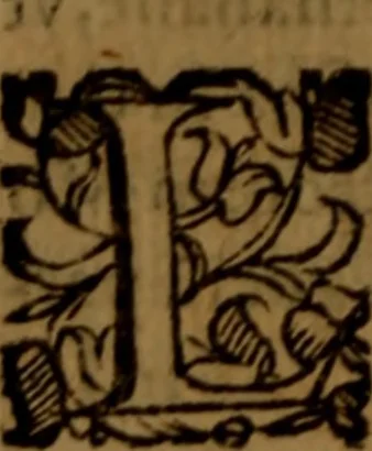An illustration from De medica historia mirabili libri sex, 1597, leaf 45
