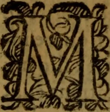 An illustration from De medica historia mirabili libri sex, 1597, leaf 451