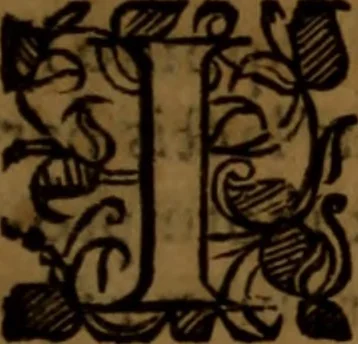 An illustration from De medica historia mirabili libri sex, 1597, leaf 48