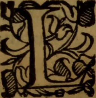 An illustration from De medica historia mirabili libri sex, 1597, leaf 66