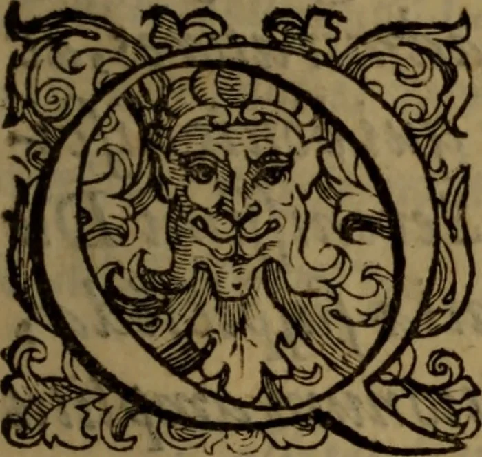 An illustration from De medica historia mirabili libri sex, 1597, leaf 8