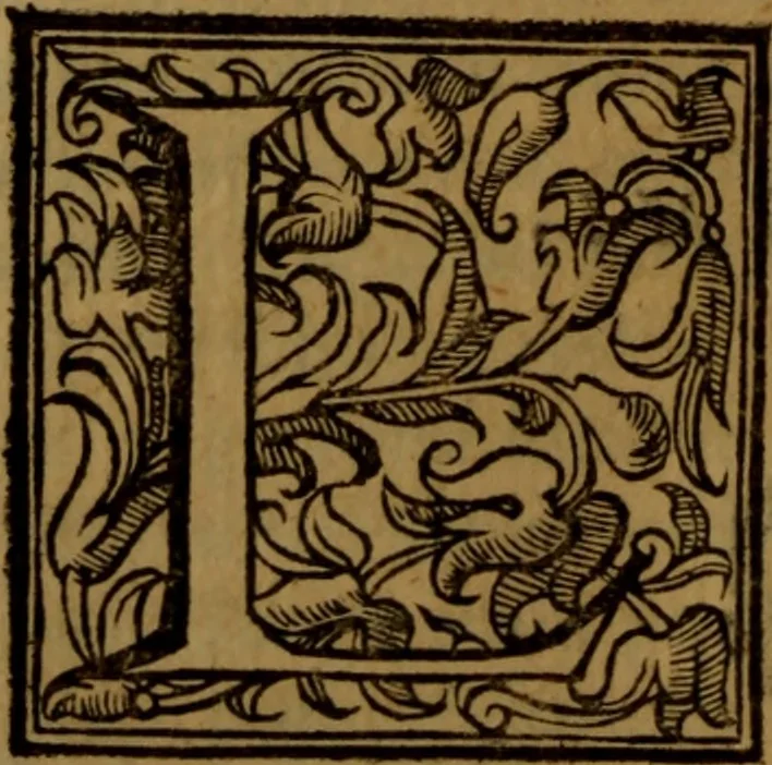 An illustration from De medica historia mirabili libri sex, 1597, leaf 81