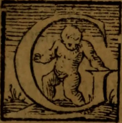 An illustration from De medica historia mirabili libri sex, 1586, leaf 134