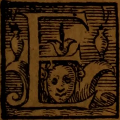 An illustration from De medica historia mirabili libri sex, 1586, leaf 154