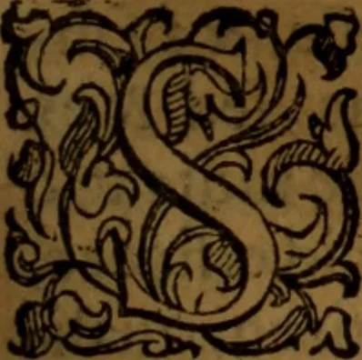 An illustration from De medica historia mirabili libri sex, 1586, leaf 162