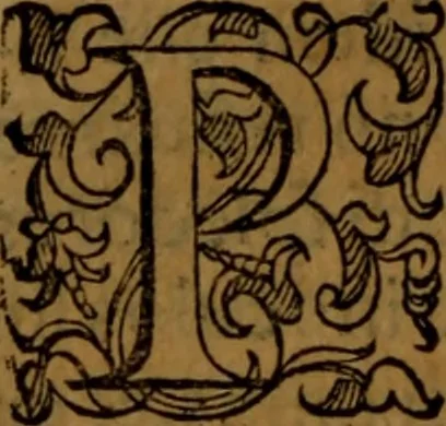 An illustration from De medica historia mirabili libri sex, 1586, leaf 169