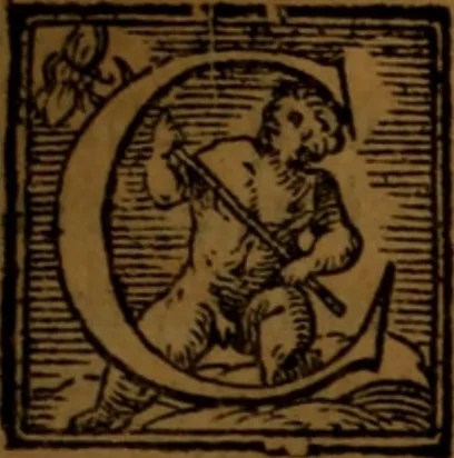 An illustration from De medica historia mirabili libri sex, 1586, leaf 174