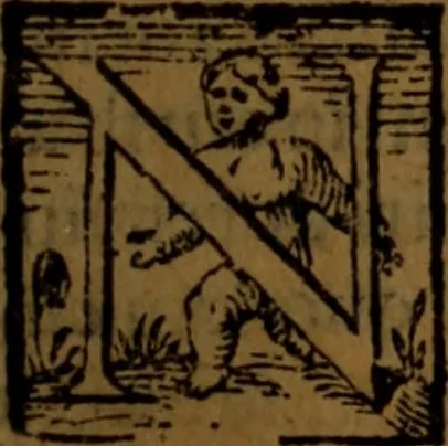 An illustration from De medica historia mirabili libri sex, 1586, leaf 176