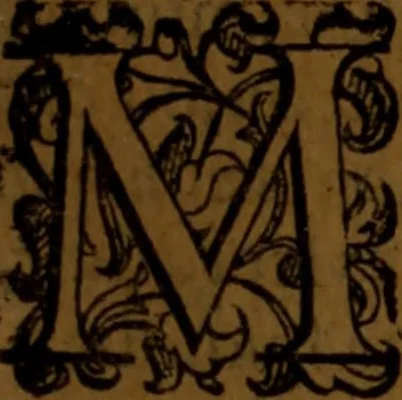 An illustration from De medica historia mirabili libri sex, 1586, leaf 184
