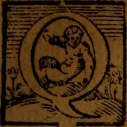 An illustration from De medica historia mirabili libri sex, 1586, leaf 192