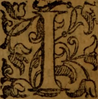 An illustration from De medica historia mirabili libri sex, 1586, leaf 193