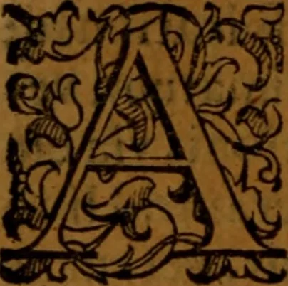 An illustration from De medica historia mirabili libri sex, 1586, leaf 197