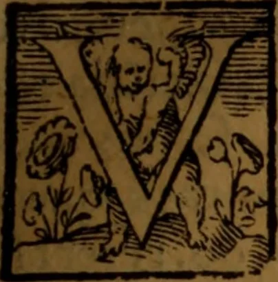 An illustration from De medica historia mirabili libri sex, 1586, leaf 206