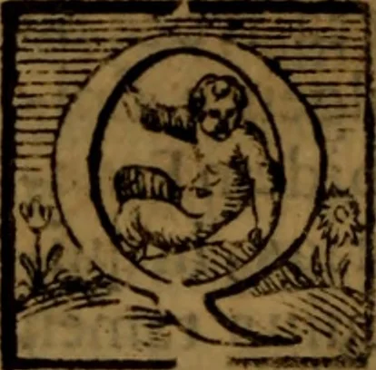 An illustration from De medica historia mirabili libri sex, 1586, leaf 213