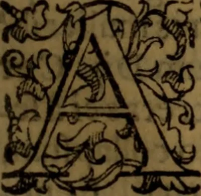 An illustration from De medica historia mirabili libri sex, 1586, leaf 218