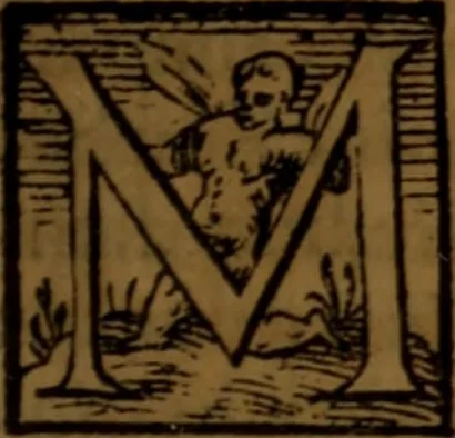 An illustration from De medica historia mirabili libri sex, 1586, leaf 230