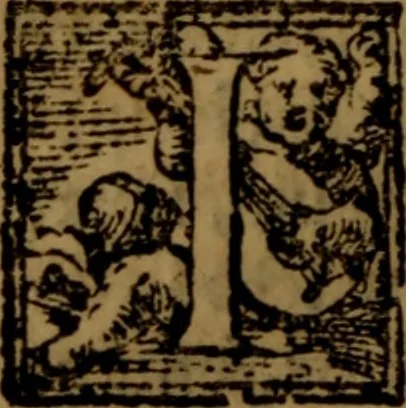 An illustration from De medica historia mirabili libri sex, 1586, leaf 235