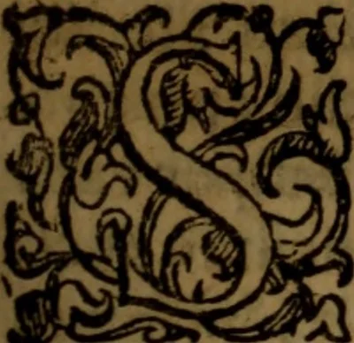 An illustration from De medica historia mirabili libri sex, 1586, leaf 236