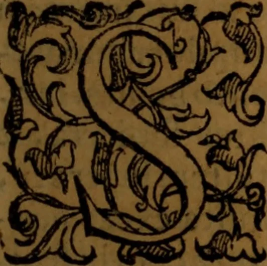 An illustration from De medica historia mirabili libri sex, 1586, leaf 24