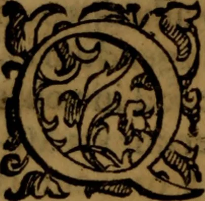 An illustration from De medica historia mirabili libri sex, 1586, leaf 245