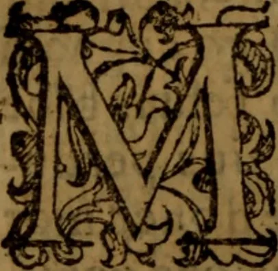 An illustration from De medica historia mirabili libri sex, 1586, leaf 251