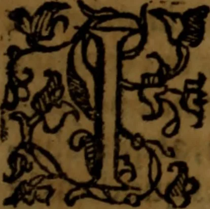 An illustration from De medica historia mirabili libri sex, 1586, leaf 262