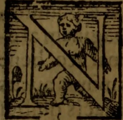 An illustration from De medica historia mirabili libri sex, 1586, leaf 268