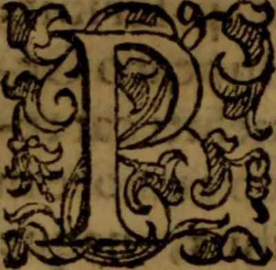 An illustration from De medica historia mirabili libri sex, 1586, leaf 271