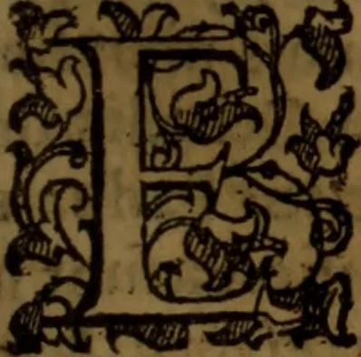 An illustration from De medica historia mirabili libri sex, 1586, leaf 274