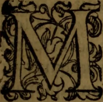 An illustration from De medica historia mirabili libri sex, 1586, leaf 288